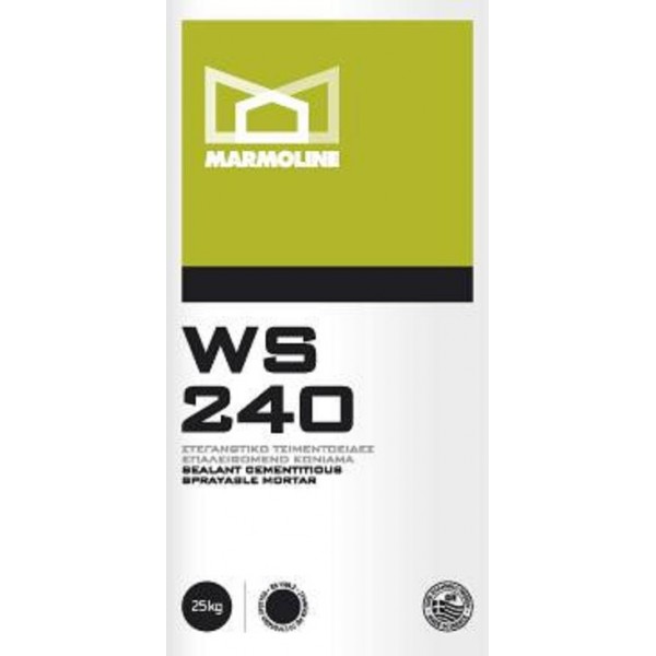 WS 240